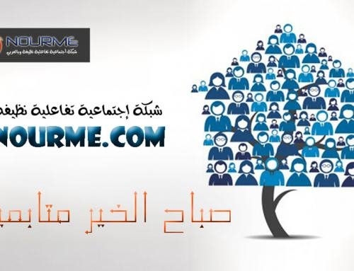 Social Network Build With BuddyPress On WordPress CMS Platform & One Click Login